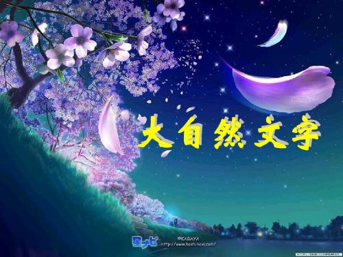 《大自然的文字》教学课件