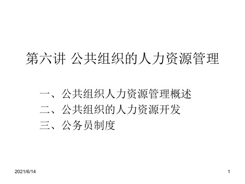 公共组织的人力资源管理