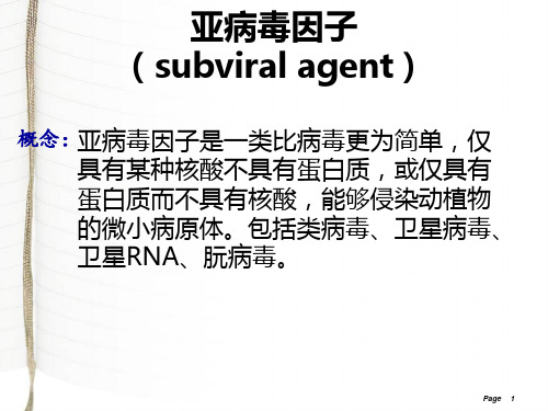 亚病毒因子12科四第三组