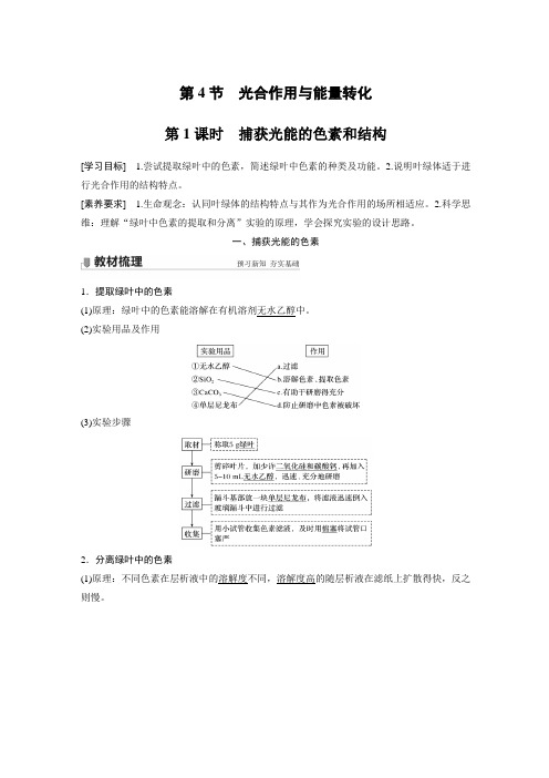 第5章 第4节 第1课时 捕获光能的色素和结构