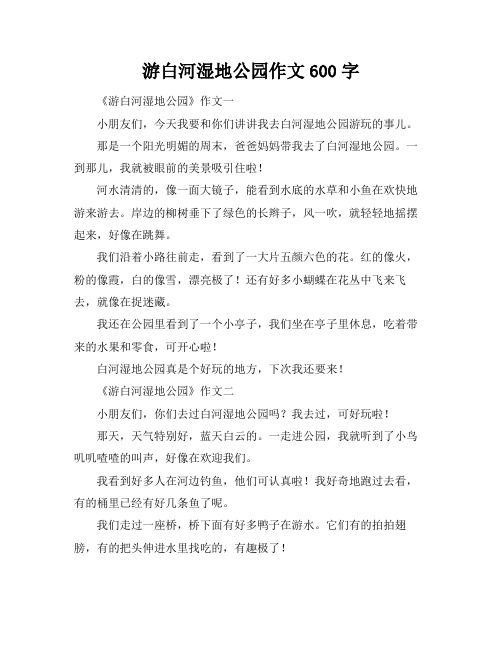 游白河湿地公园作文600字