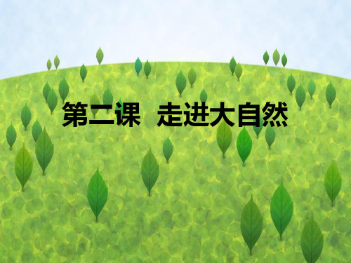 《第二课走进大自然》课件一年级美术(下)-人教版