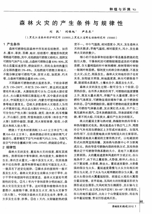 森林火灾的产生条件与规律性