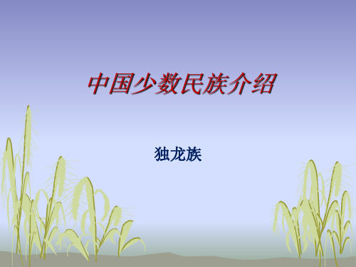 中国少数民族介绍精讲