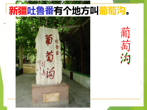 统编版二年级语文上册-二上 四单元 11  葡萄沟第一课时课件
