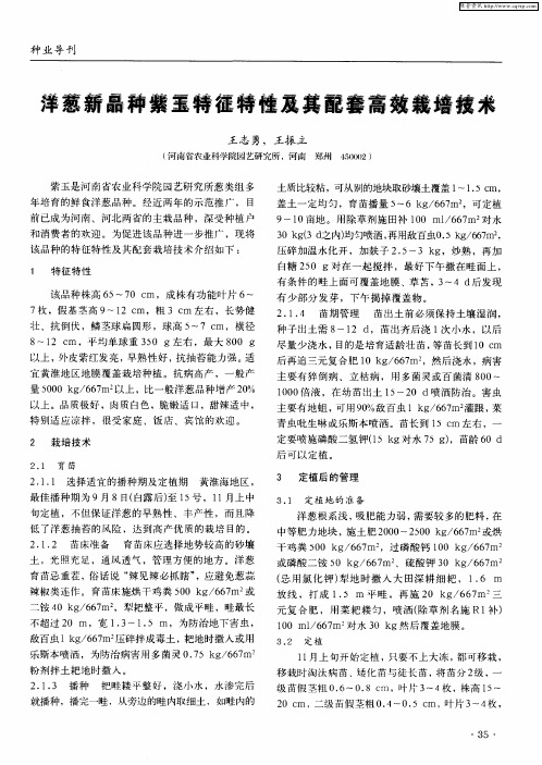 洋葱新品种紫玉特征特性及其配套高效栽培技术