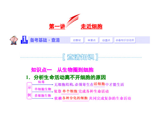 第1讲  走近细胞