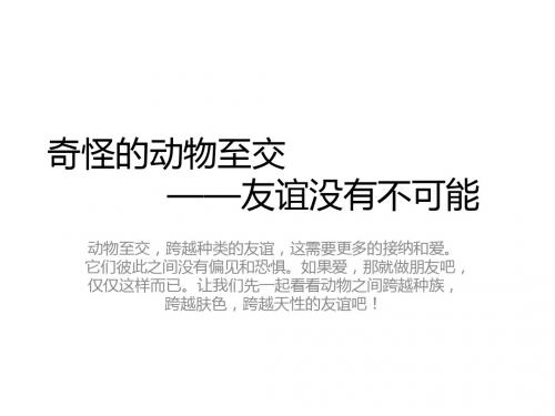 奇怪的动物至交