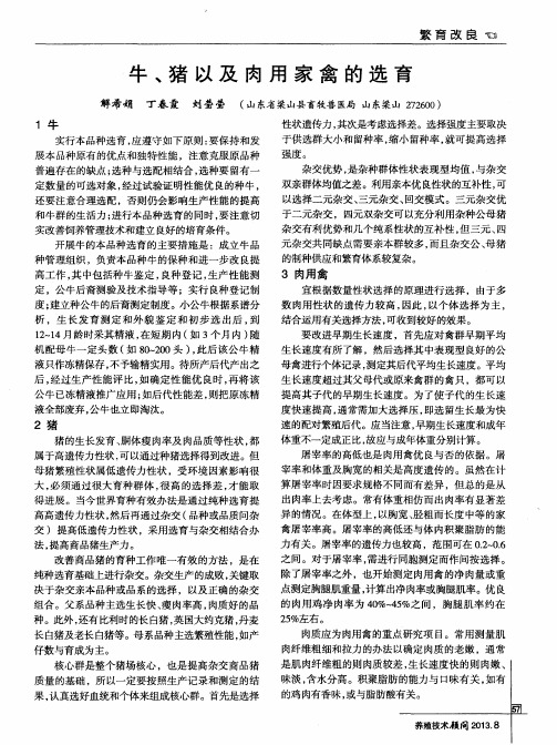 牛、猪以及肉用家禽的选育