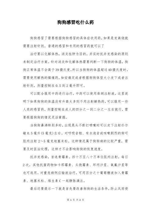 狗狗感冒吃什么药