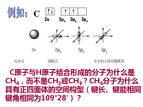 选修3杂化轨道理论