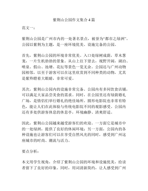 紫荆山公园作文集合4篇