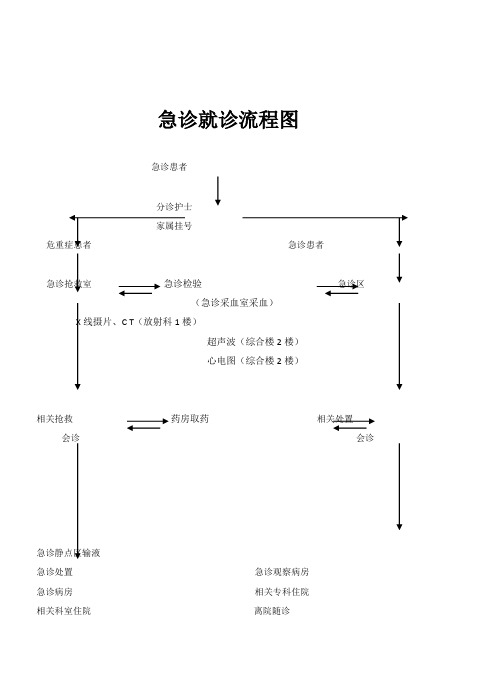 急诊就诊流程图