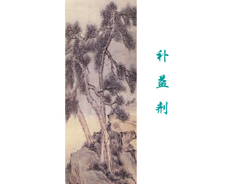 第七章 补益剂