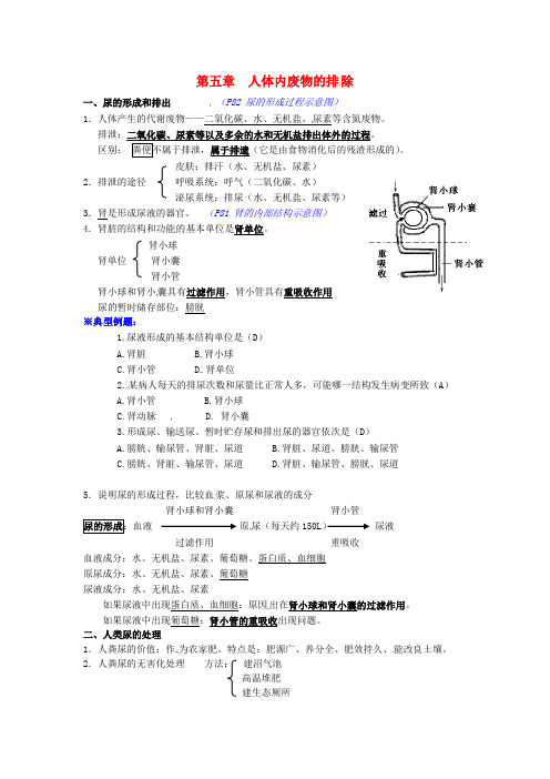 湖北省襄阳市七年级生物下册 4.5 人体内废物的排除知识点 (新版)新人教版