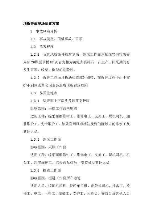 顶板事故现场处置方案