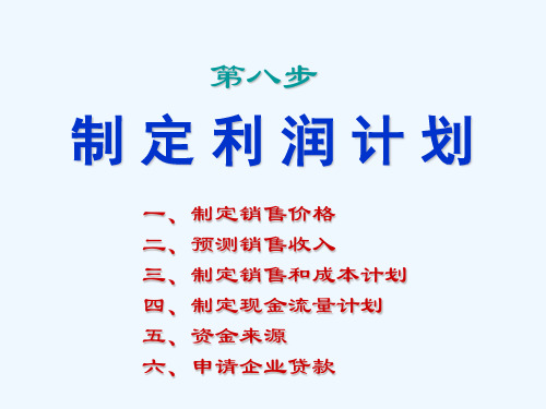 8、第八步制定利润计划