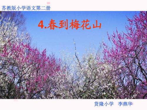 春到梅花山4