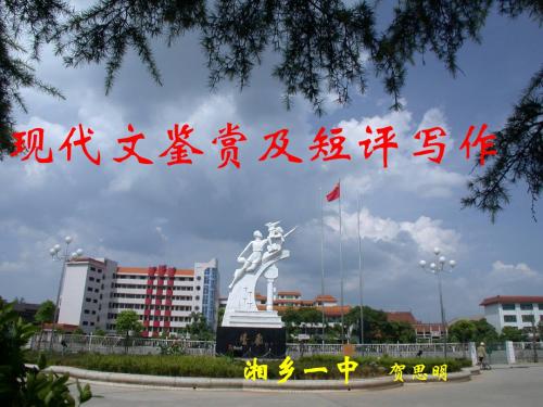 高考复习现代文鉴赏及短评写作 PPT课件