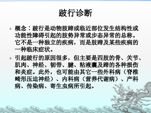 兽医外科学--跛行诊断