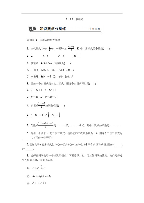 2.多项式