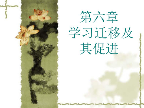第六章 学习迁移