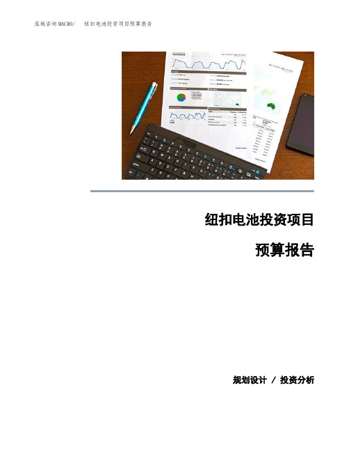 纽扣电池投资项目预算报告