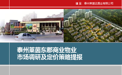 年泰州莱茵东郡商业物业市场调研及定价策略提报