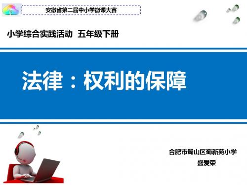 小学综合实践5年级下册《活动二宣传《中华人民共和国未成年人保护法》》PPT课件