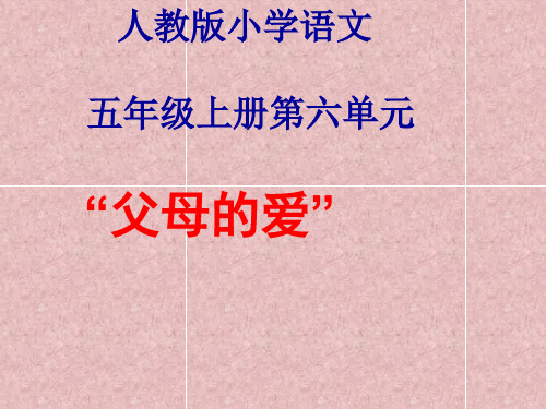 父母的爱PPT课件
