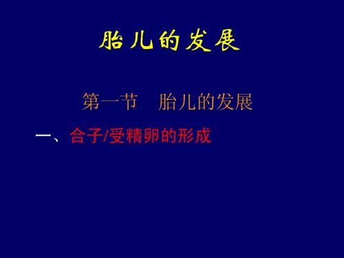 产科：胎儿的发展