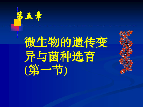 食品微生物 第5章 微生物遗传变异与菌种选育第一节
