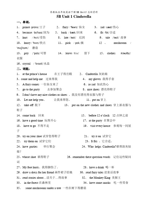 苏教版五年级英语下册5B Unit1总结资料