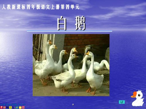 (人教新课标)四年级语文上册课件 白鹅