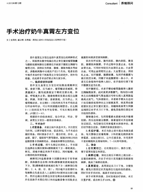 手术治疗奶牛真胃左方变位