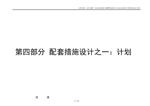 #汉普-长沙卷烟-R04 配套措施设计之一：计划