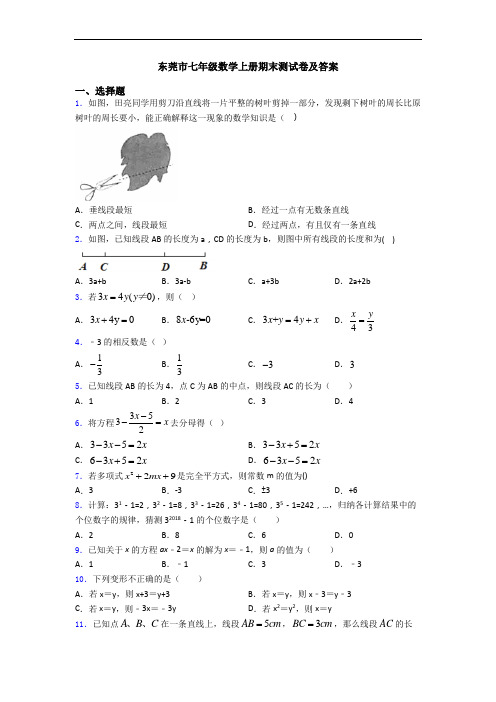 东莞市七年级数学上册期末测试卷及答案