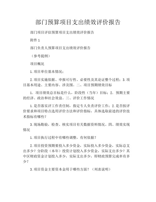 部门预算项目支出绩效评价报告