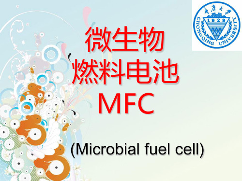 微生物燃料电池MFC