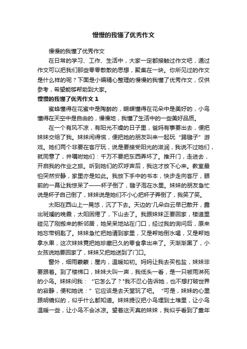慢慢的我懂了优秀作文