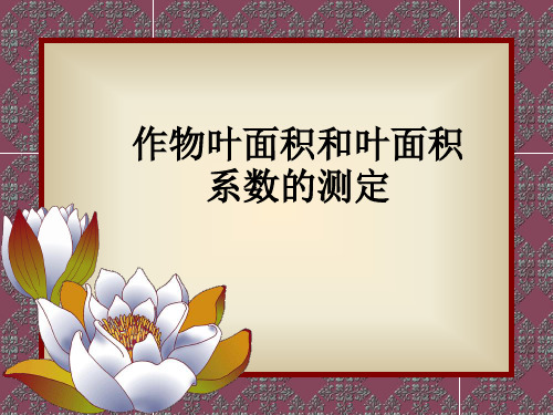 叶面积测定