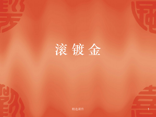 滚镀金线工艺流程ppt课件