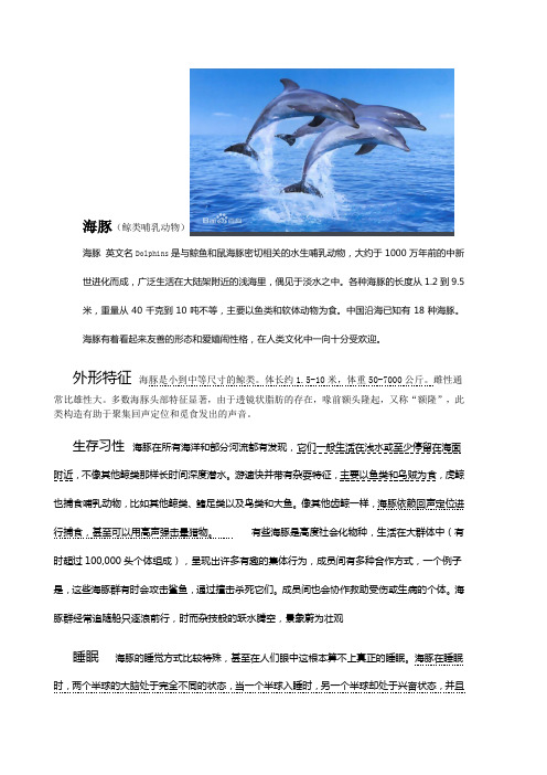海豚