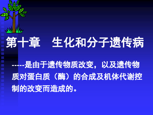 10生化遗传学
