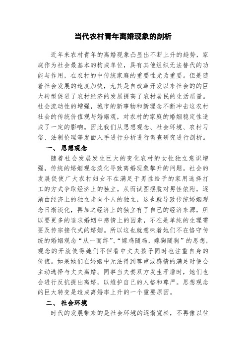 离婚现象剖析