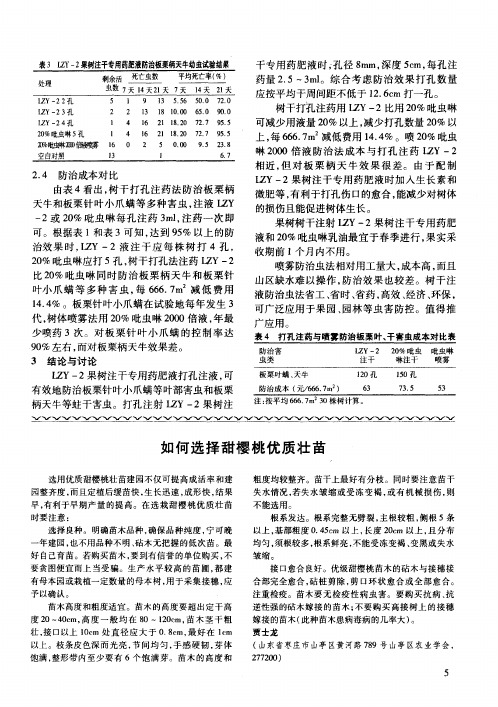 如何选择甜樱桃优质壮苗