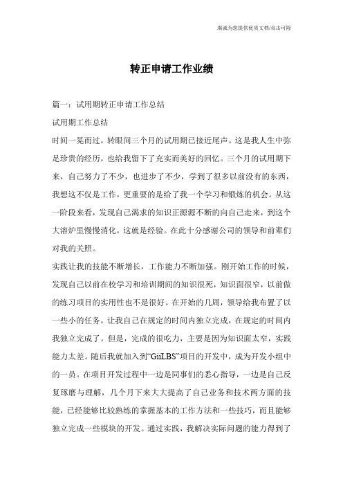 转正申请工作业绩