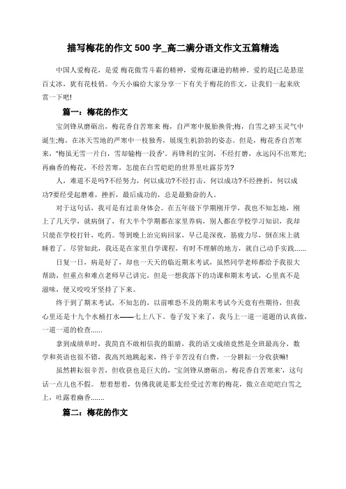 描写梅花的作文500字_高二满分语文作文五篇精选