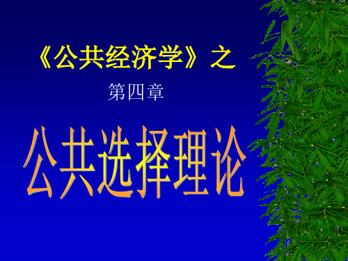 公共经济学(四)