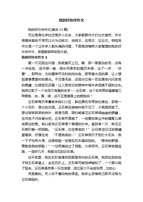 我的好伙伴作文